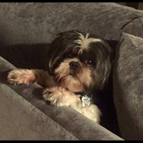 Hi! I’m Elisa - most call me E.  Just the letter E - Picture 6 of 13